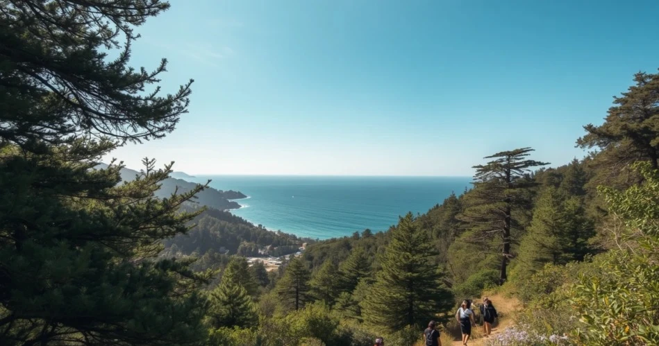 Oceanside Coastal Adventure Guide: Surf, Paddle, Hike & Explore
