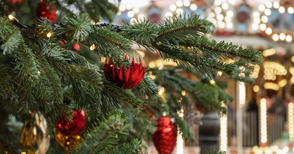 Best Seasonal Festivals in Oceanside, California: When to Visit & What to Expect